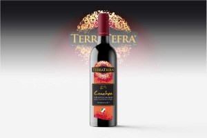 TERRA-TEFRA-conchae