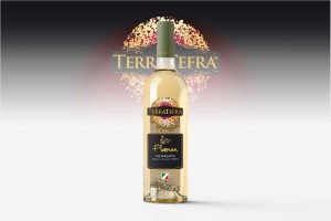 TERRA-TEFRA-flamen