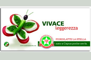 farfalla_campagna