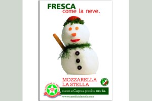 pupazzo_campagna_verticale